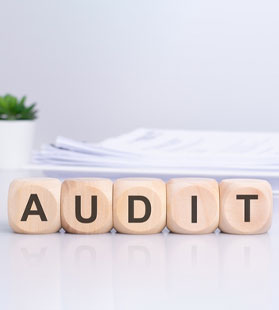 Audit